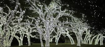 Best Christmas Lights Houston 2018 Edition Abc Blog