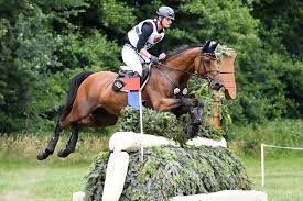 The german rider remained without a drop in the final jumping on monday. Julia Krajewski Archive Club Deutscher Vielseitigkeitsreiter