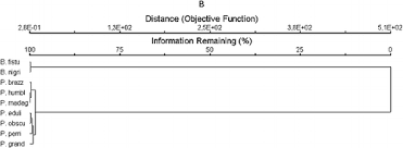 Image result for Paropsia