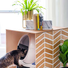 Placing litter in a plastic storage bin. 17 Clever Ways To Hide The Litter Box