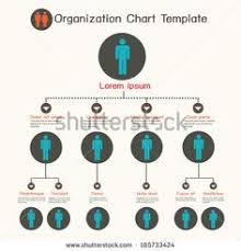 8 best org charts images chart organizational chart