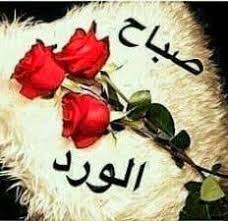 اذا كانت من اللي بيحبوا رقص بلدي في البيت. ÙŠÙˆØªÙŠÙˆØ¨ Home Facebook