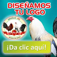 Maybe you would like to learn more about one of these? Gallos Finos On Line