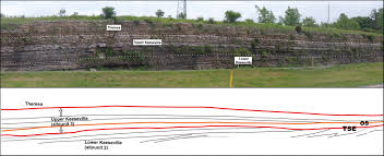 (reduced to 50 if entry form is not received by deadline) Lithostratigraphic And Allostratigraphic Framework Of The Cambrian Ordovician Potsdam Group And Correlations Across Early Paleozoic Southern Laurentia