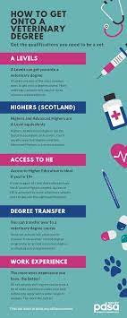 How To Become A Vet - Pdsa