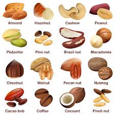 Nut Types Signed Names Mockup Set Dry Fruits Names Dry Fruits List Fruit Names
