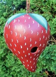 Birdhouse Gourds For Sale Clean Dried Gourds For Sale For Gourd Art Crafts And Painting Gourds Crafts Hand Painted Gourds Gourds Birdhouse