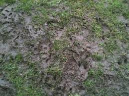 Afbeeldingsresultaat voor modderveld