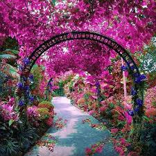 Best Cantonese Restaurants In Singapore Singapore Travel Scenery Botanical Gardens
