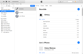 If you've previously filed hundreds of vinyls and cds in cardboard boxes by genre, alphabetically or some other way, it. The Rise And Fall Of Itunes Apple S Most Hated App The Verge