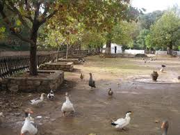 Sefrou Jardin De La Piscine English Language Learning English Language Learning Languages