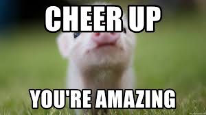 Select the club mailing lists below. Top 50 Cheer Up Memes That Ll Instantly Lift Your Mood Scoopify