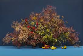Maybe you would like to learn more about one of these? Emily Thompson Not Your Grandmother S Florist Design Phaidon