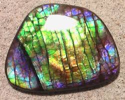 Superb Ammolite Super Gem Very Rare Colors Big Stone Ammolite Rocks And Gems Beautiful Rocks