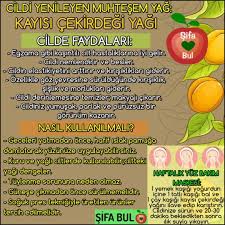 Cildi Yenileyen Muhtesem Yag Kayisi Cekirdegi Yagi Saglik Saglikhaberleri Saglikliyasam Sagliklibeslenme Dogal Kayisicekirdegiyagi A Health Aromatherapy