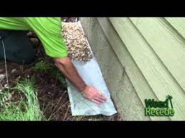 Pin On Gardening