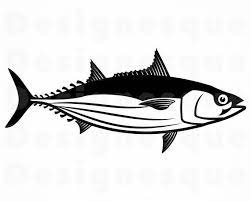 Download Skipjack Tuna Svg Fishing Svg Fish Svg Fishing Clipart Etsy In 2021 Fish Clipart Fishing Svg Fish Art