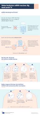 Motley fool • 2 days ago. Infographic How Mrna Vaccines Protect You Against Covid 19