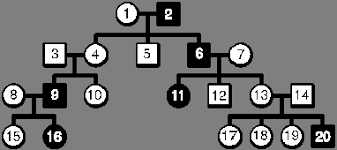 Genetics pedigree worksheet answer key genetics pedigree worksheet answer key and pedigree charts worksheets answer key are some main things we will present to you based on the gallery title. Https Www Cusd80 Com Cms Lib Az01001175 Centricity Domain 2192 Pedigree 20worksheet Pdf