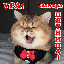 Открытки - Ура, завтра пятница! | Facebook