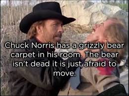 Facebook is showing information to help you better understand the purpose of a page. A Collection Of Corny Chuck Norris Jokes That Are Admittedly Hilarious