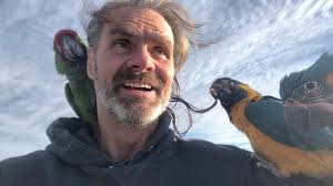 Six macaws supervising my work