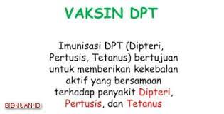 Pin Di Terbaru