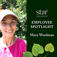 We're featuring the faces of Star® Roses and Plants, and today we're  highlighting Mary Woolman, Woody Ornamental and Edible Product Manager.  Mary has been at the company for 7 years and sat