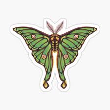 Maybe you would like to learn more about one of these? Graellsia Isabellae Gifts Merchandise Redbubble