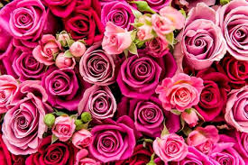 4131 1074 albero fiori prato. Come Mantenere I Fiori Freschi Piu A Lungo E Avere Cura Dei Fiori Recisi