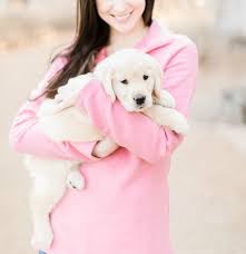 Meet Nala Our New Golden Retriever Puppy Diary Of A Debutante