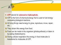 861 popular meanings of atp abbreviation In Biology What Is The Full Form Of Atp Quora