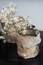 Diy Birken Topf Vase Birken Deko Vase Ideen Und Kreativ