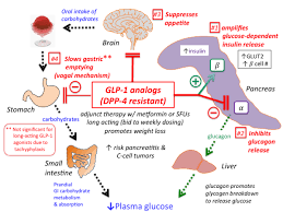 Image result for Exenatide