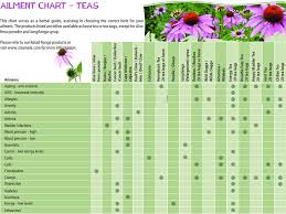 Medicinal Herb Chart Wow Com Image Results Medicinal