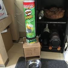 Automatic Cat Feeder Automatic Cat Feeder Cat Feeder Automatic Cat