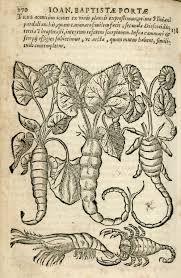 This Exhibition Features Selected Works From Lsu Libraries Special Collections That Shed Light On The Centuries Old Quest Occult Science Occult Vintage Prints