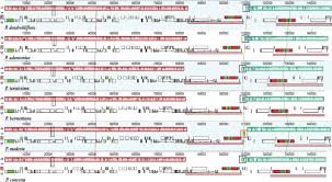 Image result for Polystachya kermesina