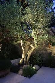 51 Ideen Fur Die Aussenbeleuchtung Um Ihren Garten Mit Stil Zu Beleuchten Be 51 Ideen Fur Die Garden Lighting Design Outdoor Landscaping Diy Outdoor Lighting