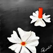 Pin On Flowers
