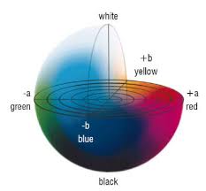 Color Determination In Food Food Science Toolbox