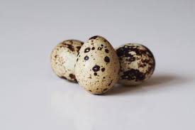 Find the perfect quail egg stock photos and editorial news pictures from getty images. Quail Eggs For Babies First Foods For Baby Solid Starts