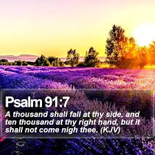 Daily Bible Verse with Picture