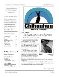 Maybe you would like to learn more about one of these? Chi Fall 2010 Chihuahua Rescue And Transport Inc