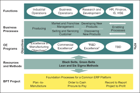 We believe that building operational excellence as a core competency for your team and your organization is one of the most important endeavors you can undertake. Insights On Establishing Operational Excellence Program