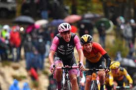 It was a second stage victory for ulissi, of the uae emirates team, on this giro and an eighth career stage win. Giro D Italia Joao Almeida Straight Into The History Books Deceuninck Quick Step Cycling Team