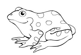 Collection of frog coloring pages for kids. Frog Trace Free Frog Coloring Pages For Kids Frog Coloring Pages Animal Coloring Pages Frog Drawing