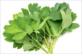 マリーンバイオ