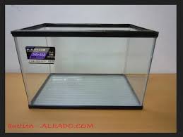 Lalu, sudahkah anda memelihara ikan hias kecil yang bisa bertahan lama? Jenis Dan Harga Aquarium Yang Populer Dijual Sekarang Ini