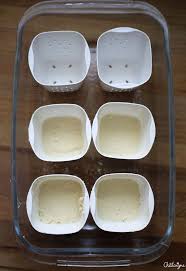 Le Tofu Maison Facile Blog De Chataigne Tofu Maison Facile Recettes Candida